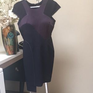Bcbgmaxzaria dress
